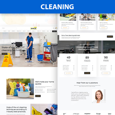 Cleaning wordpress theme